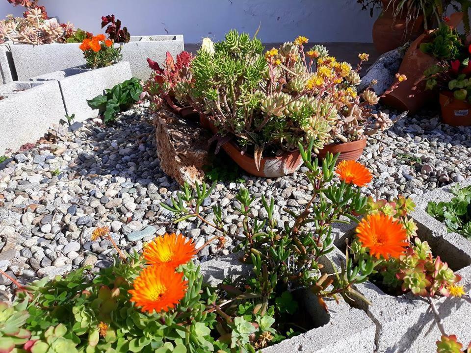 La Dimora Degli Artisti Bed & Breakfast Catanzaro Eksteriør bilde
